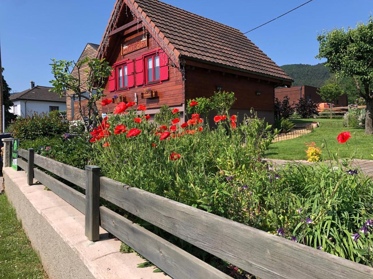 Chalet Colline Et Lou Wintzfelden Ngoại thất bức ảnh