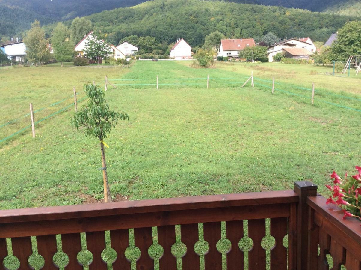 Chalet Colline Et Lou Wintzfelden Ngoại thất bức ảnh